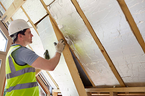 Best Blown-in Insulation in Sneads, FL